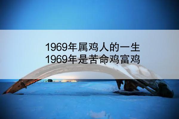 1969年属鸡人的一生 1969年是苦命鸡富鸡