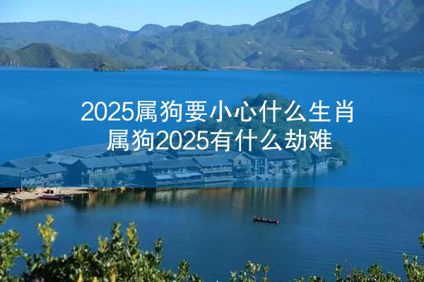 2025属狗要小心什么生肖 属狗2025有什么劫难