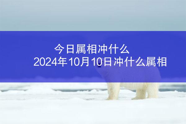 今日属相冲什么 2024年10月10日冲什么属相