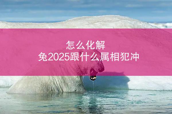 怎么化解 兔2025跟什么属相犯冲