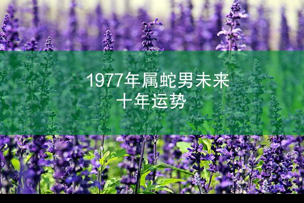 1977年属蛇男未来十年运势