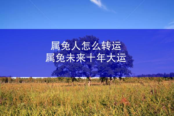 属兔人怎么转运 属兔未来十年大运