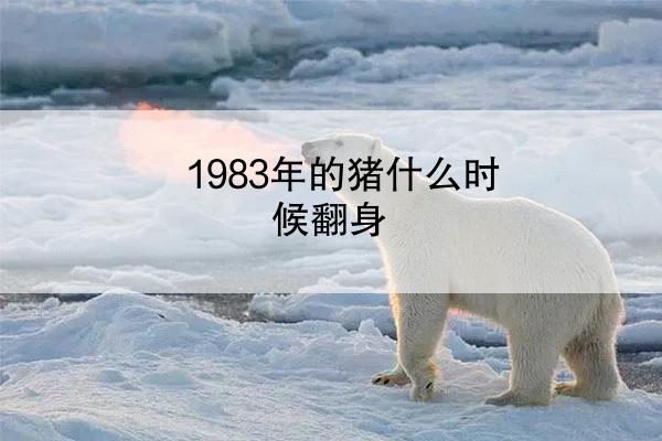 1983年的猪什么时候翻身