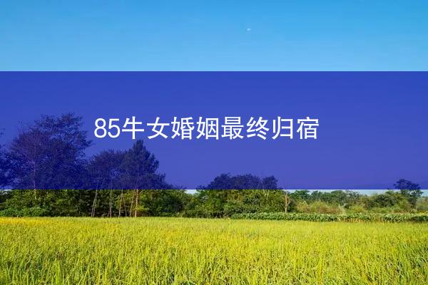 85牛女婚姻最终归宿