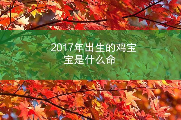 2017年出生的鸡宝宝是什么命