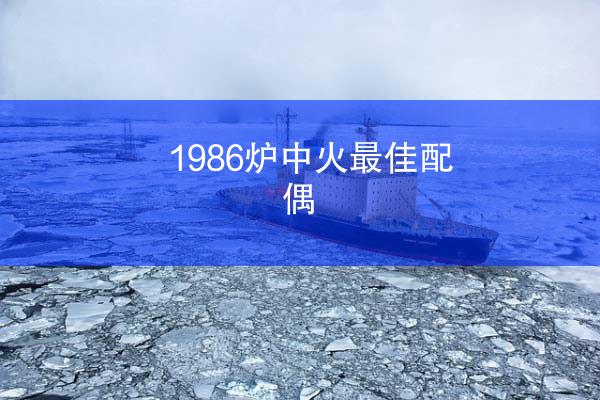 1986炉中火最佳配偶