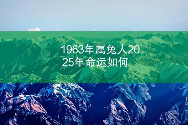 1963年属兔人2025年命运如何