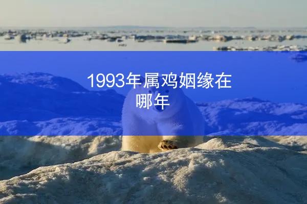 1993年属鸡姻缘在哪年