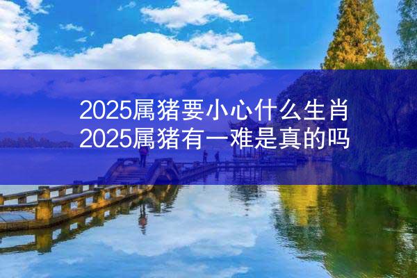 2025属猪要小心什么生肖 2025属猪有一难是真的吗