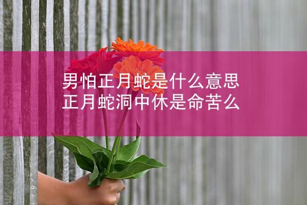 男怕正月蛇是什么意思 正月蛇洞中休是命苦么