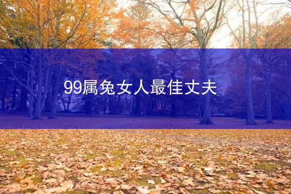 99属兔女人最佳丈夫