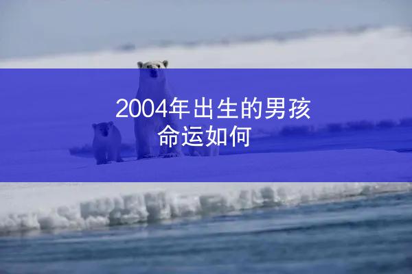 2004年出生的男孩命运如何