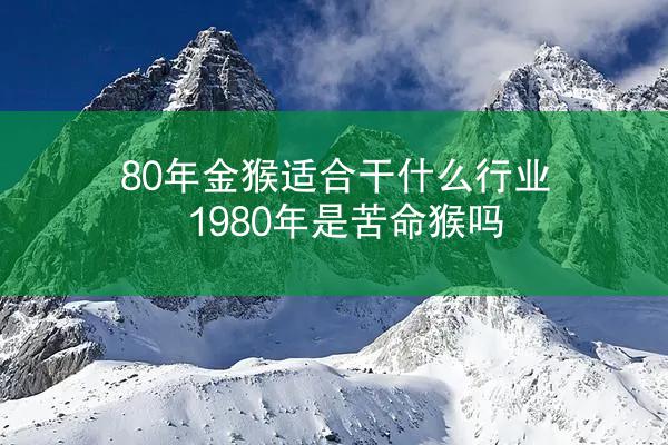 80年金猴适合干什么行业 1980年是苦命猴吗