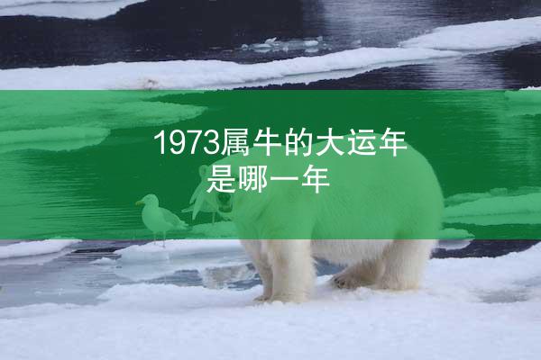 1973属牛的大运年是哪一年