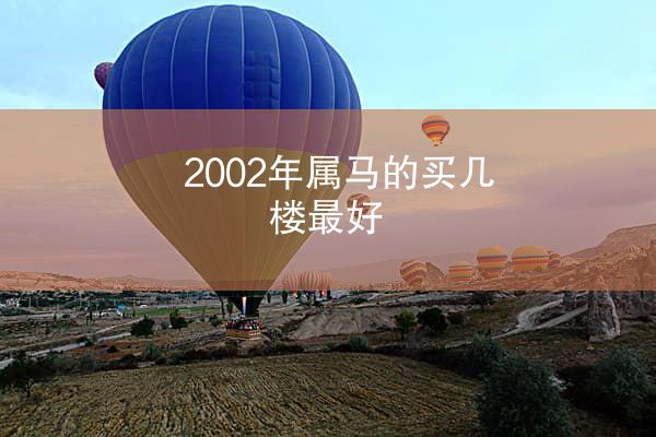 2002年属马的买几楼最好