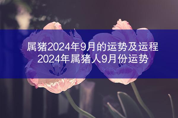 属猪2024年9月的运势及运程 2024年属猪人9月份运势