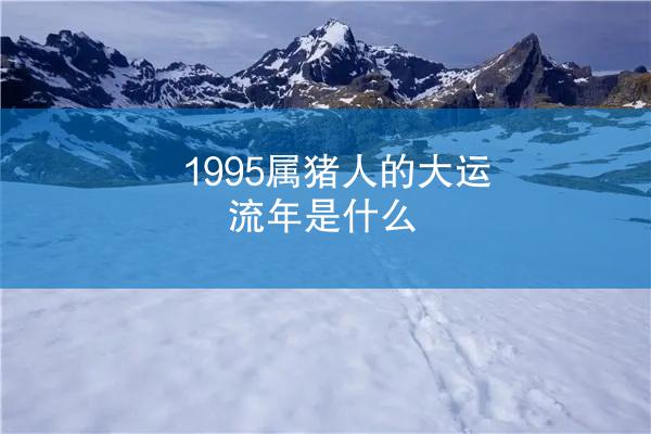 1995属猪人的大运流年是什么