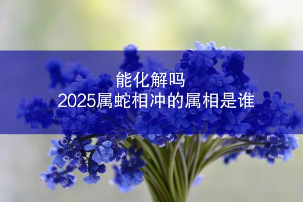 能化解吗 2025属蛇相冲的属相是谁