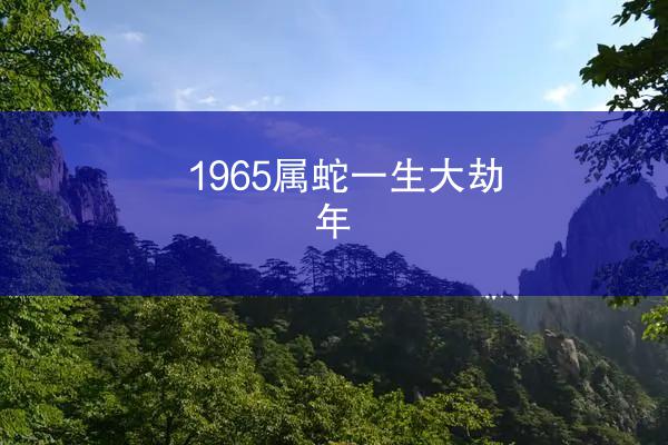 1965属蛇一生大劫年