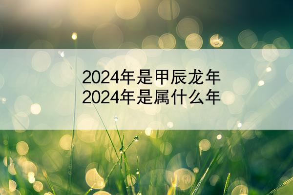 2024年是甲辰龙年 2024年是属什么年