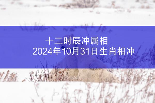 十二时辰冲属相 2024年10月31日生肖相冲