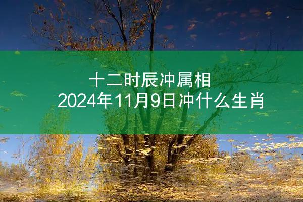 十二时辰冲属相 2024年11月9日冲什么生肖