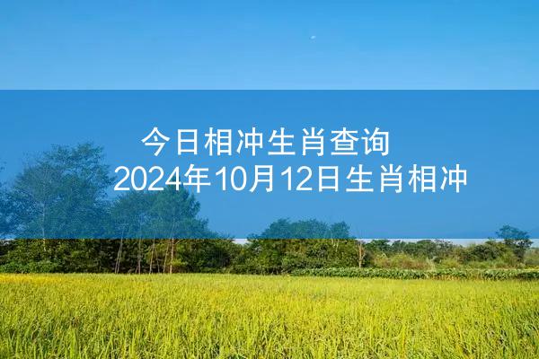 今日相冲生肖查询 2024年10月12日生肖相冲