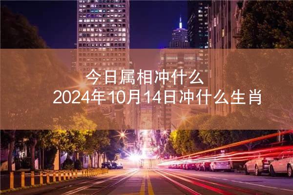 今日属相冲什么 2024年10月14日冲什么生肖