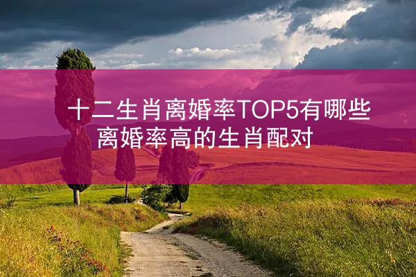 十二生肖离婚率TOP5有哪些 离婚率高的生肖配对