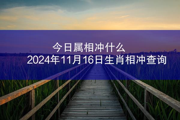 今日属相冲什么 2024年11月16日生肖相冲查询