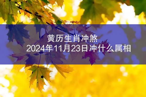 黄历生肖冲煞 2024年11月23日冲什么属相