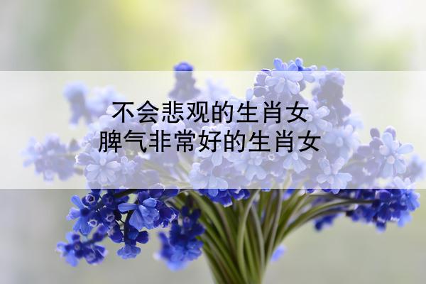 不会悲观的生肖女 脾气非常好的生肖女